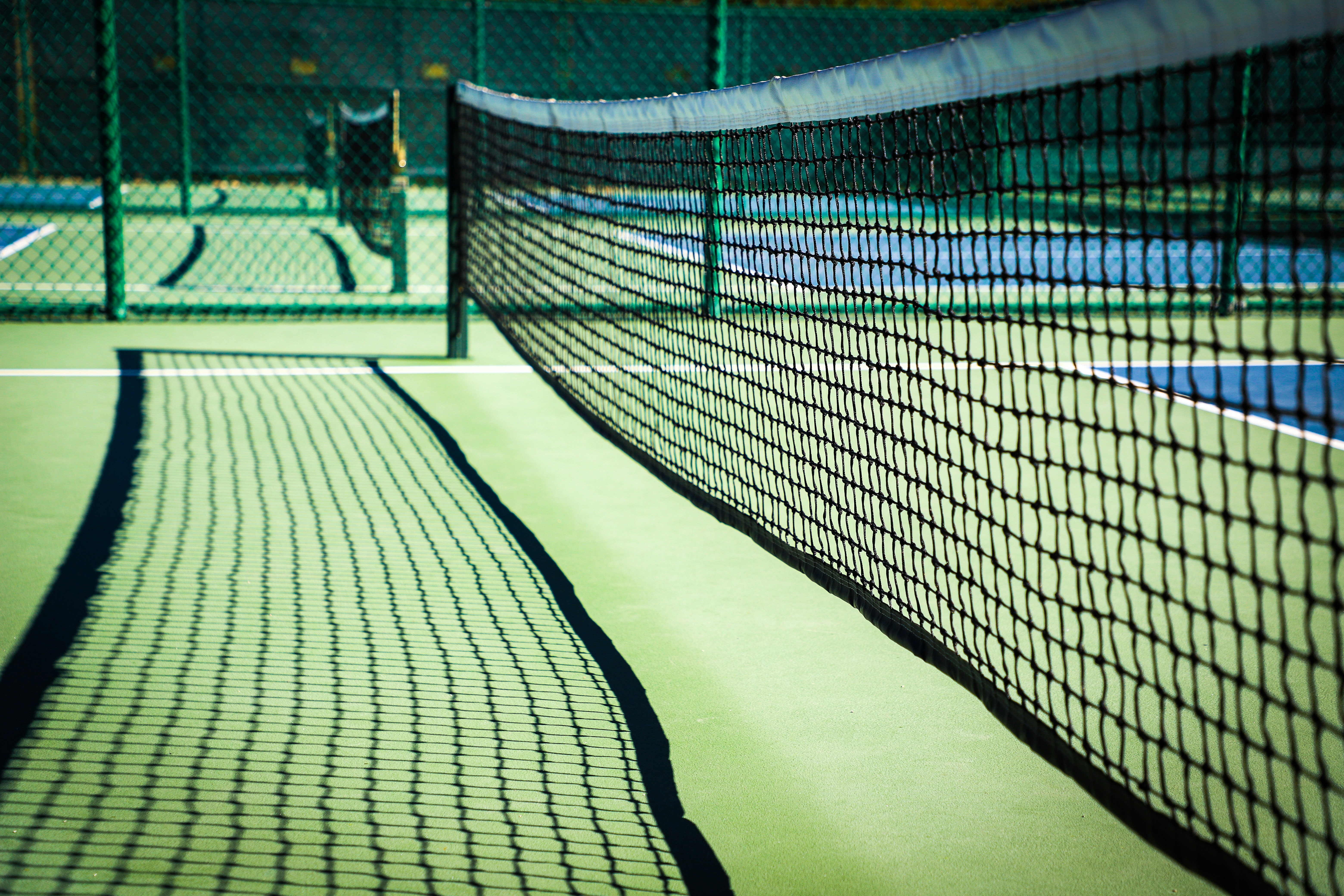 Professional pickleball court with net